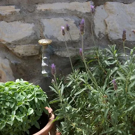 Chrisa' S Country House * Naxos City