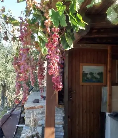 Chrisa' S Country House