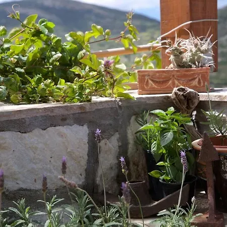 Nyaraló Chrisa' S Country House Naxos City