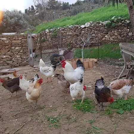 Chrisa' S Country House Naxos City