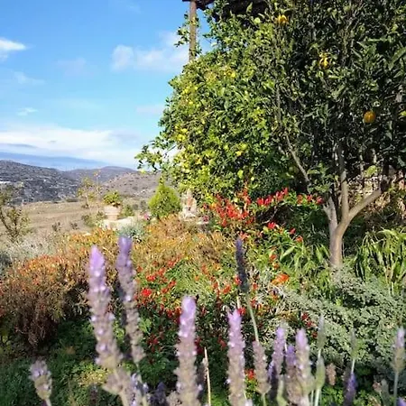 Chrisa' S Country House * Naxos City