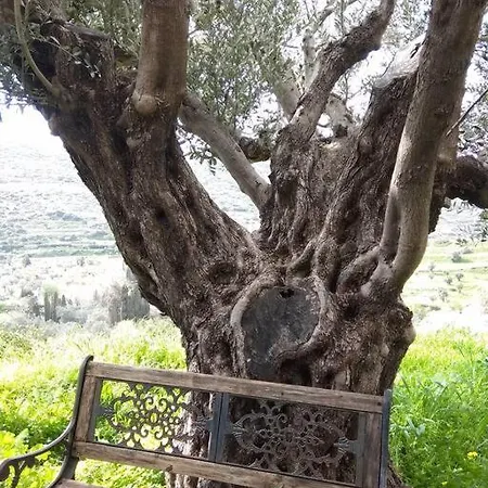 Nyaraló Chrisa' S Country House *