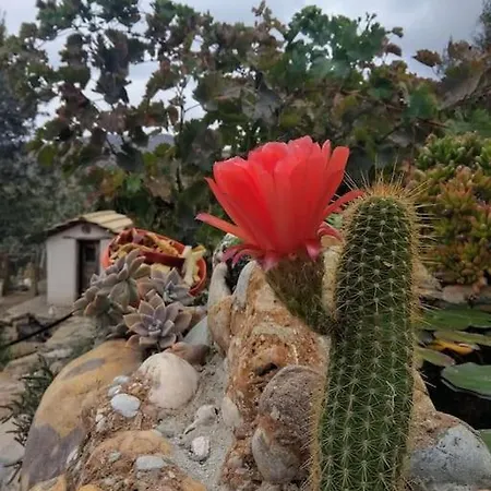 Chrisa' S Country House Nyaraló Naxos City